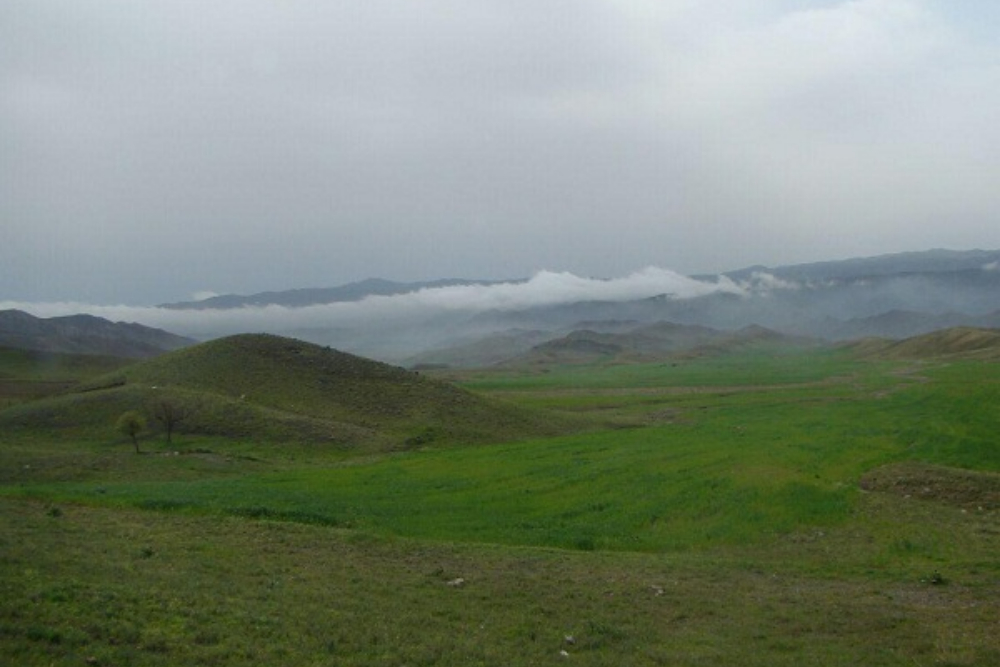 بوئین+زهرا