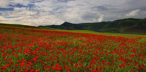پارس+آباد