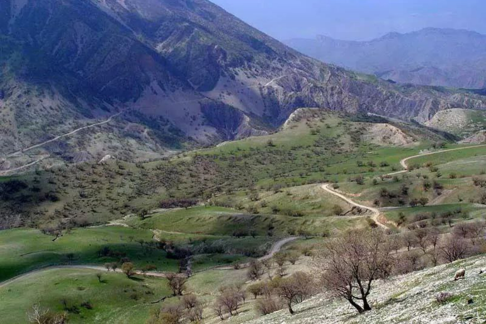 Paveh