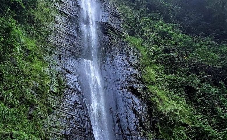 Talesh