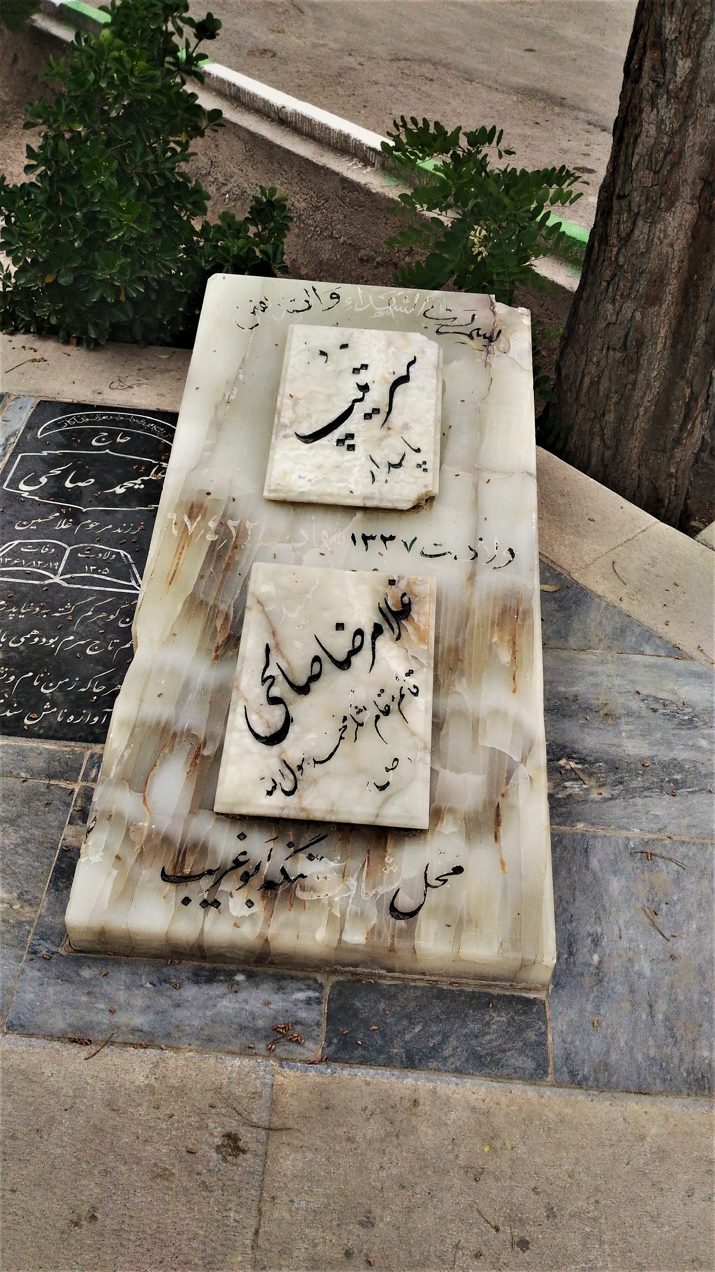 شهید+غلامرضا+صالحی