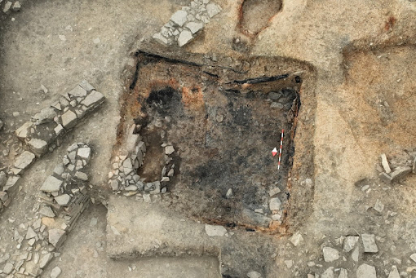 سکه