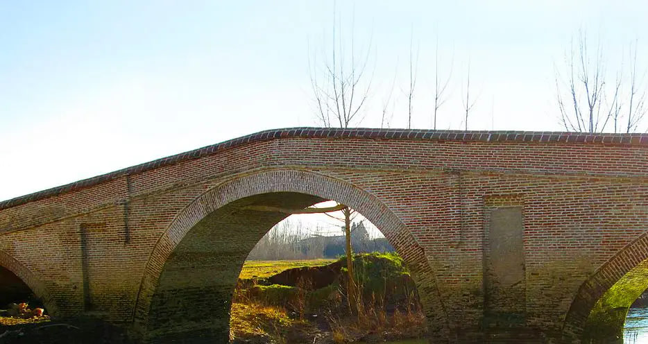 جویبار