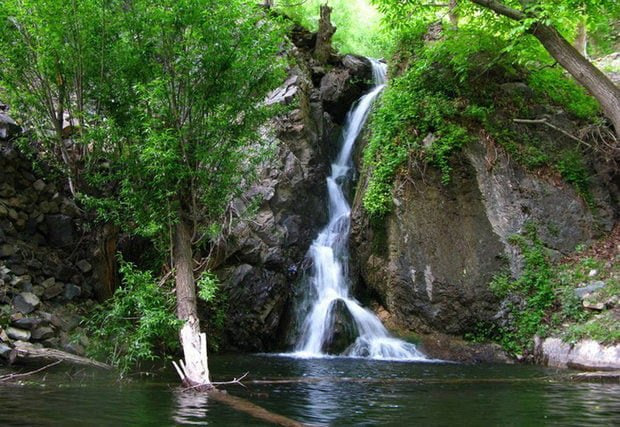 چناران