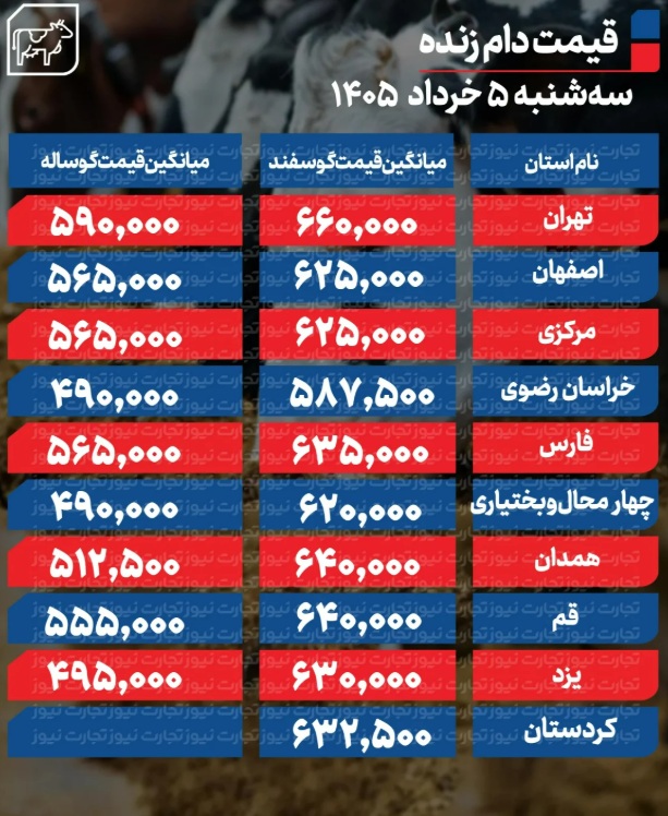 دام