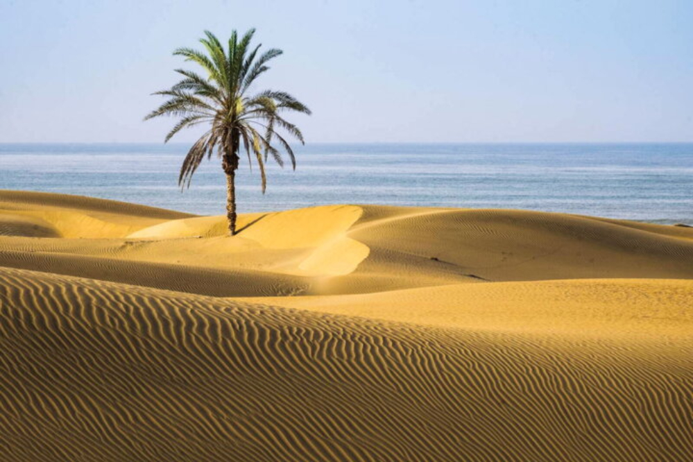 درک